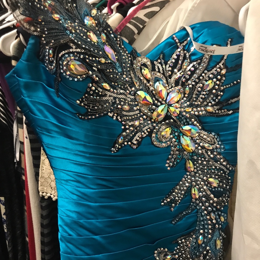 Pageant/Prom Gown! - Picture 2 of 2